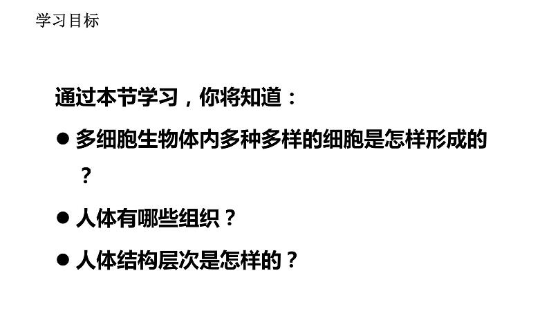 人教版七年级上册生物--2.2.2动物体的结构层次课件+ 教学视频（共2段）02