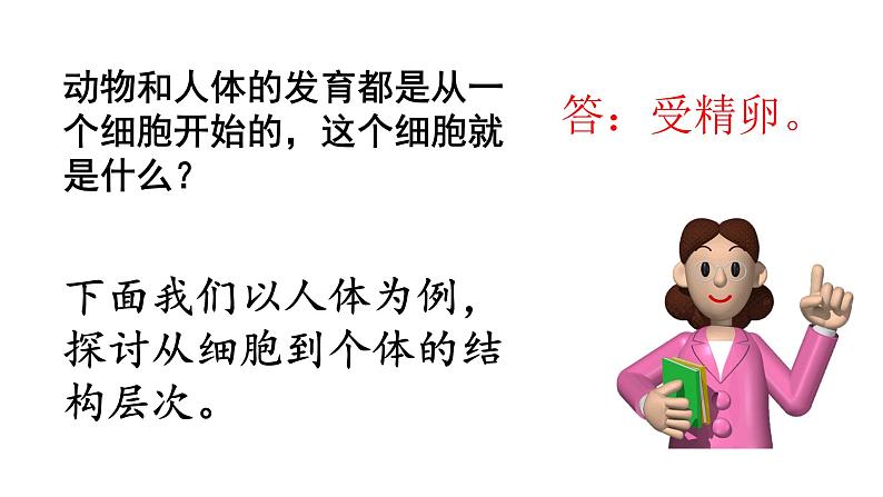 人教版七年级上册生物--2.2.2动物体的结构层次课件+ 教学视频（共2段）03