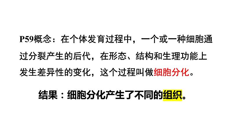 人教版七年级上册生物--2.2.2动物体的结构层次课件+ 教学视频（共2段）06
