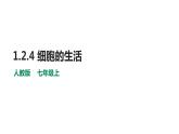 人教版七年级上册生物--2.1.4细胞的生活课件+ 教学视频