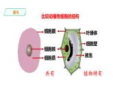 人教版七年级上册生物--2.1.4细胞的生活课件+ 教学视频