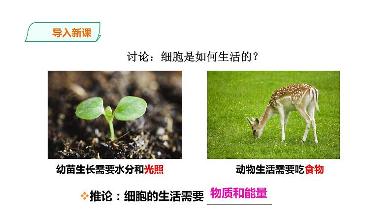 2.1.4细胞的生活第3页