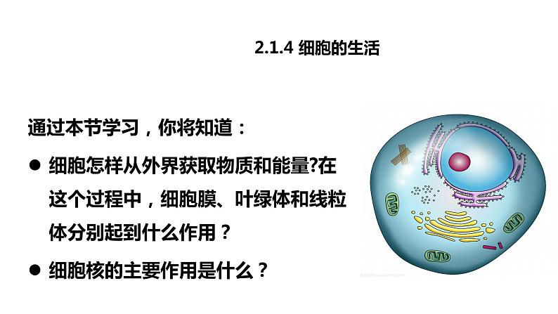 2.1.4细胞的生活第4页