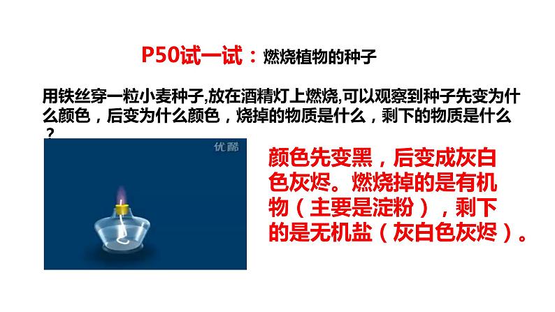 2.1.4细胞的生活第7页