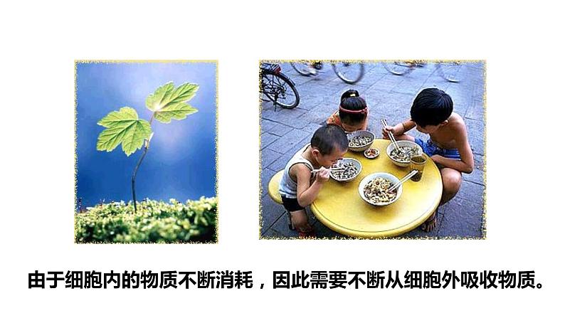 2.1.4细胞的生活第8页