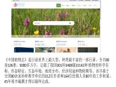 人教版七年级上册生物--3.1.1藻类、苔藓和蕨类植物课件+练习（含答案）