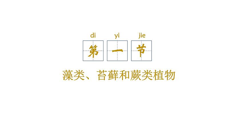 人教版七年级上册生物--3.1.1藻类、苔藓和蕨类植物课件+练习（含答案）05