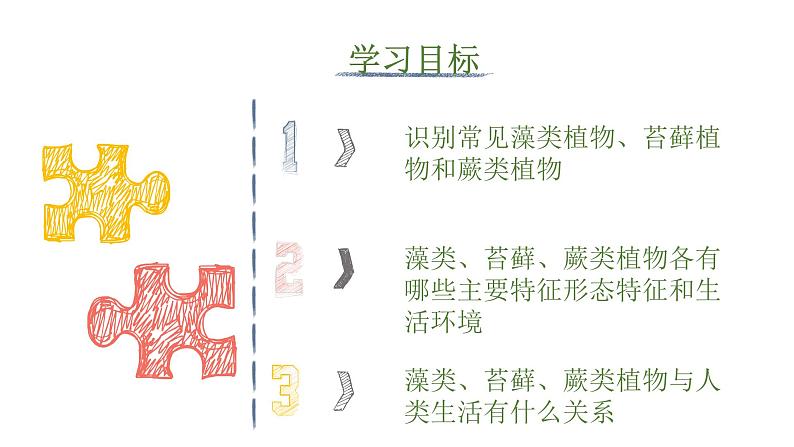 人教版七年级上册生物--3.1.1藻类、苔藓和蕨类植物课件+练习（含答案）06