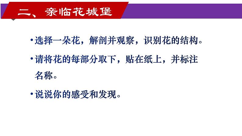 人教版七年级上册生物--3.2.3开花与结果课件+ 视频素材06