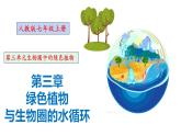 人教版七年级上册生物--3.3 绿色植物与生物圈中的水循环 -课件