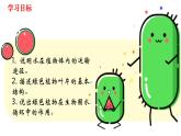 人教版七年级上册生物--3.3 绿色植物与生物圈中的水循环 -课件