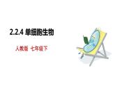 人教版七年级上册生物--2.2.4单细胞生物课件PPT