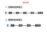 人教版七年级上册生物--2.2.4单细胞生物课件PPT