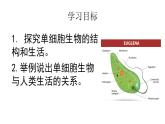 人教版七年级上册生物--2.2.4单细胞生物课件PPT