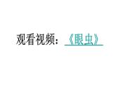 人教版七年级上册生物--2.2.4单细胞生物课件PPT