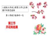 人教版七年级上册生物--3.2.3 开花和结果 课件
