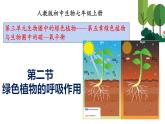 人教版七年级上册生物--3.5.2 绿色植物的呼吸作用 -课件
