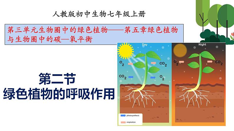 人教版七年级上册生物--3.5.2 绿色植物的呼吸作用 -课件第1页