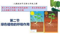 2021学年第二节 绿色植物的呼吸作用图文ppt课件