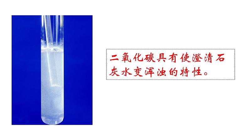 人教版七年级上册生物--3.5.2 绿色植物的呼吸作用 -课件第8页