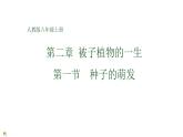 人教版七年级上册生物--3.2.1种子的萌发课件+ 练习（含解析）