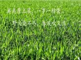 人教版七年级上册生物--3.2.1种子的萌发课件+ 练习（含解析）