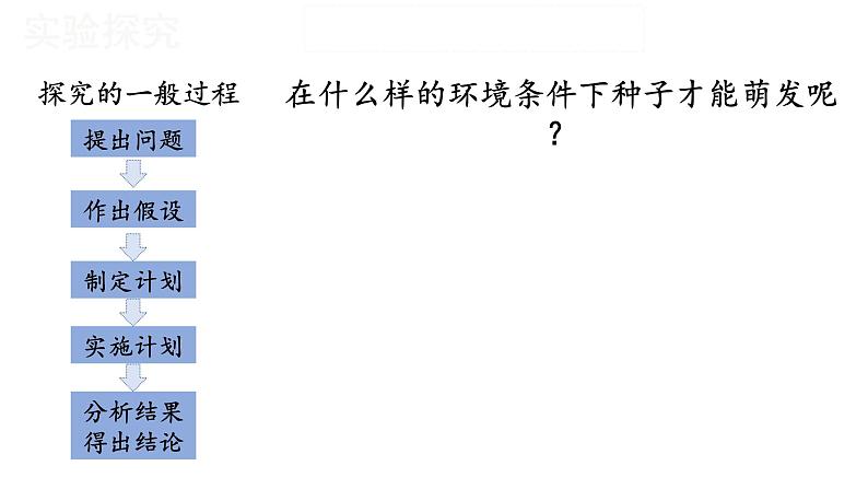 人教版七年级上册生物--3.2.1种子的萌发课件+ 练习（含解析）04