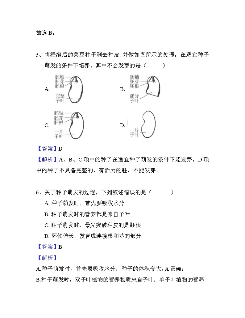 人教版七年级上册生物--3.2.1种子的萌发课件+ 练习（含解析）03