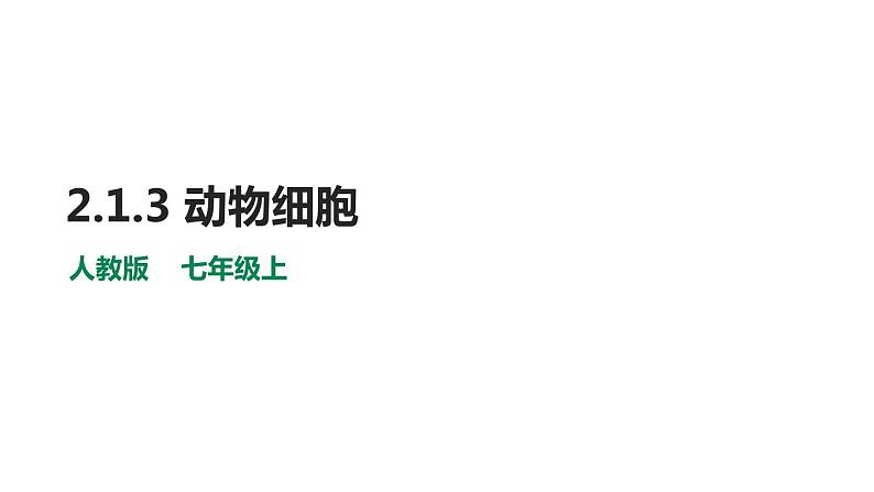 人教版七年级上册生物--2.2.3动物细胞课件+ 视频素材01