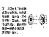 人教版七年级上册生物--2.2.3动物细胞课件+ 视频素材
