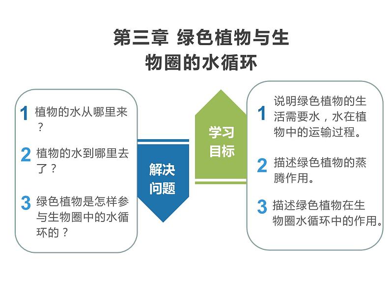 3.3绿色植物参与生物圈的水循环课件第2页