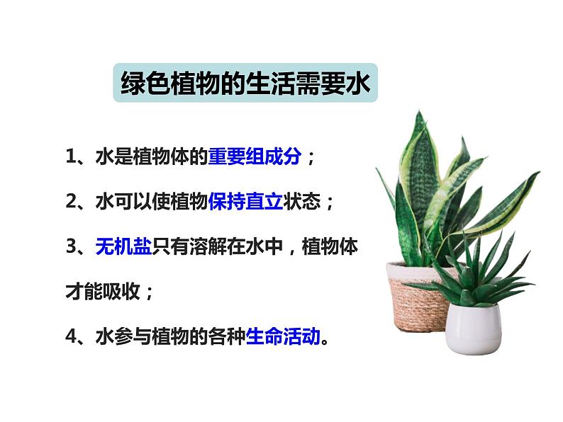 3.3绿色植物参与生物圈的水循环课件第4页