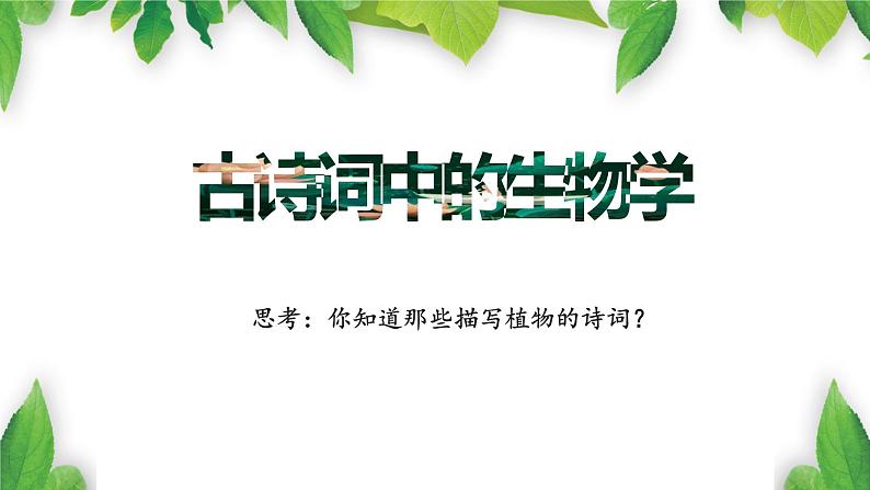 人教版七年级上册生物--3.1.1藻类、苔藓和蕨类植物课件02