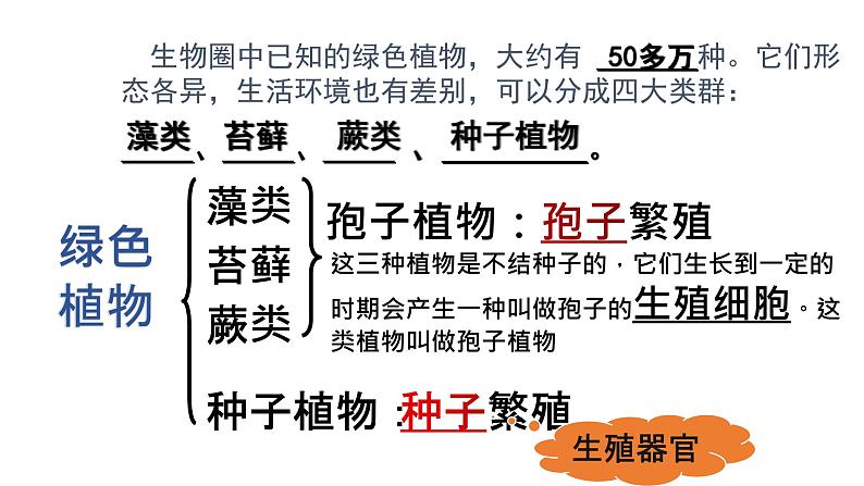 人教版七年级上册生物--3.1.1藻类、苔藓和蕨类植物课件04