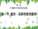 人教版七年级上册生物--3.1.1藻类、苔藓和蕨类植物课件