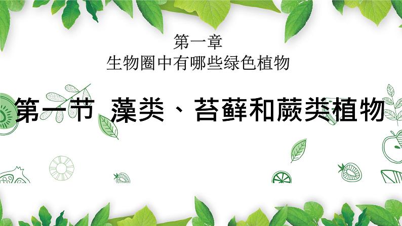 人教版七年级上册生物--3.1.1藻类、苔藓和蕨类植物课件05