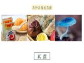 人教版八年级上册生物--5.4.3真菌课件+练习（含答案）
