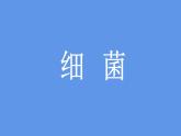 人教版八年级上册生物--5.4.2细菌课件+练习（含答案）