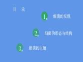 人教版八年级上册生物--5.4.2细菌课件+练习（含答案）