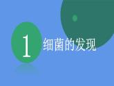 人教版八年级上册生物--5.4.2细菌课件+练习（含答案）