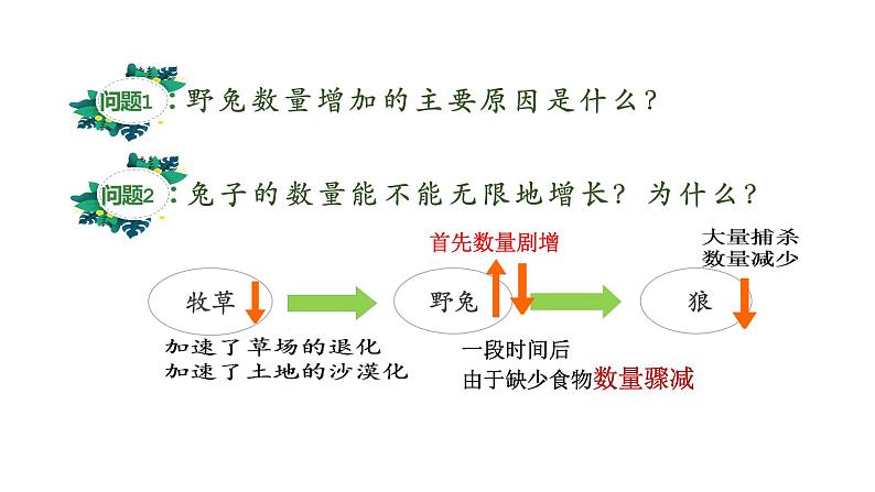 人教版八年级上册生物--5.3 动物在生物圈中的作用课件06