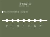 人教版八年级上册生物--第六单元 第一章 第二节 从种到界 课件