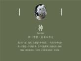 人教版八年级上册生物--第六单元 第一章 第二节 从种到界 课件