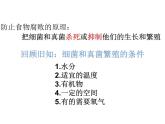 人教版八年级上册生物--5.4.5人类对细菌和真菌的利用课件 +素材