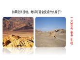 人教版八年级上册生物--5.4.4《细菌和真菌在自然界中的作用》课件PPT