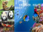 人教版八年级上册生物--5.4.4《细菌和真菌在自然界中的作用》课件PPT