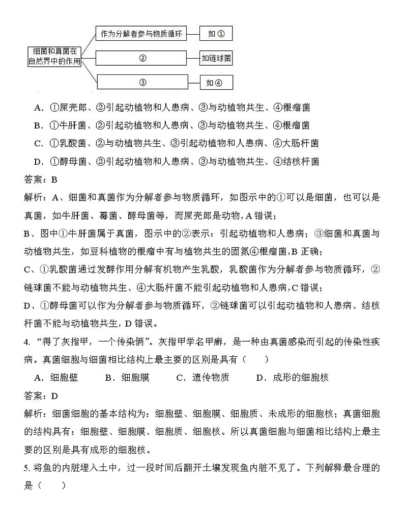 人教版八年级上册生物--5.4.4《细菌和真菌在自然界中的作用》课件PPT02
