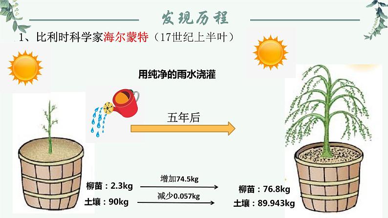 第一节光合作用（从柳苗生长之谜说起）课件PPT第6页