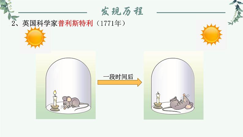 第一节光合作用（从柳苗生长之谜说起）课件PPT第8页