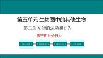 生物八年级上册第三节 社会行为教学课件ppt